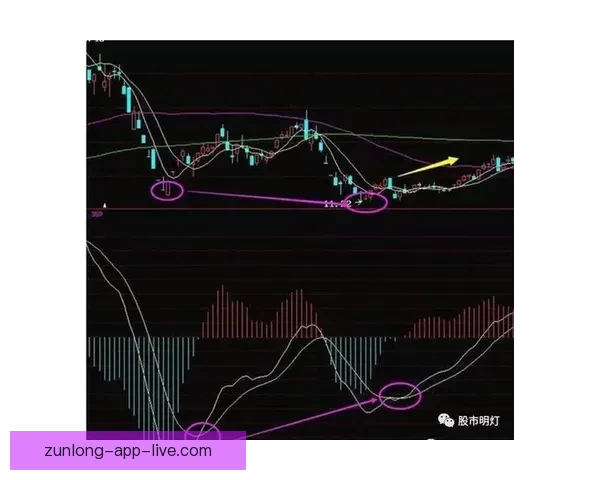 世界杯跟单策略全解析 玩转投注技巧提升收益 轻松把握赛事机会