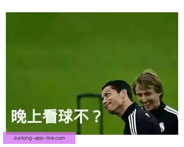 世界杯赛事深度分析与精准买球推荐全指南